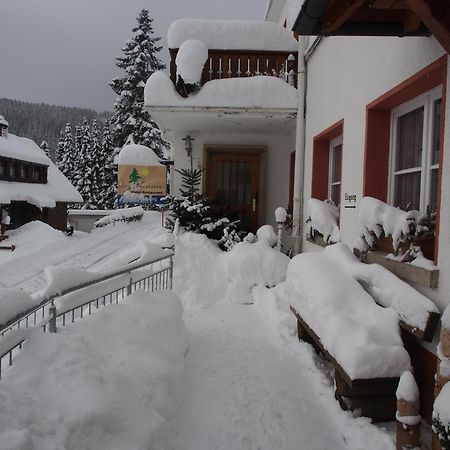Haus Sommerberg Feldberg  Zewnętrze zdjęcie