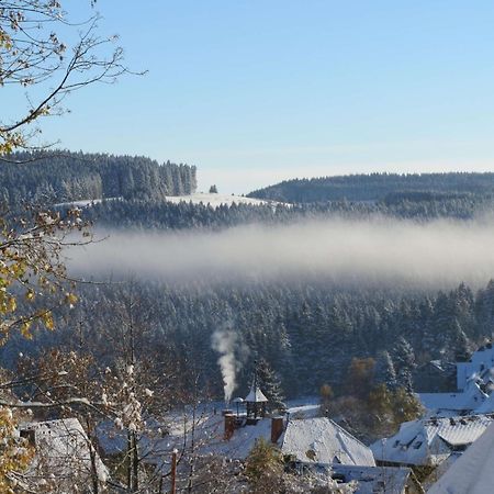 Haus Sommerberg Feldberg  Zewnętrze zdjęcie