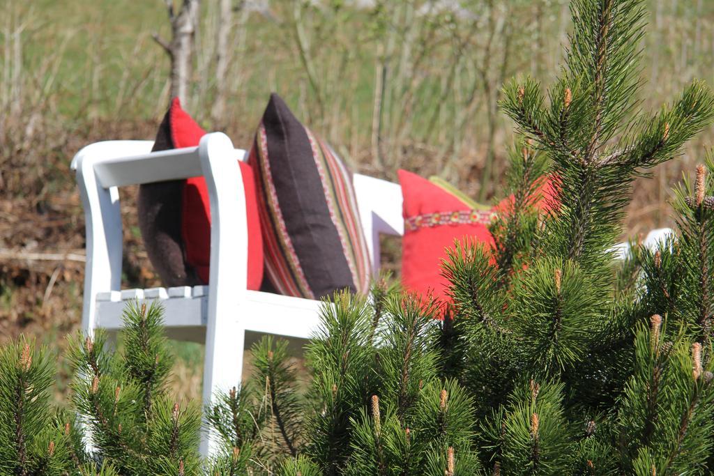 Haus Sommerberg Feldberg  Zewnętrze zdjęcie