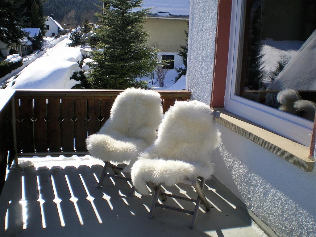 Haus Sommerberg Feldberg  Zewnętrze zdjęcie