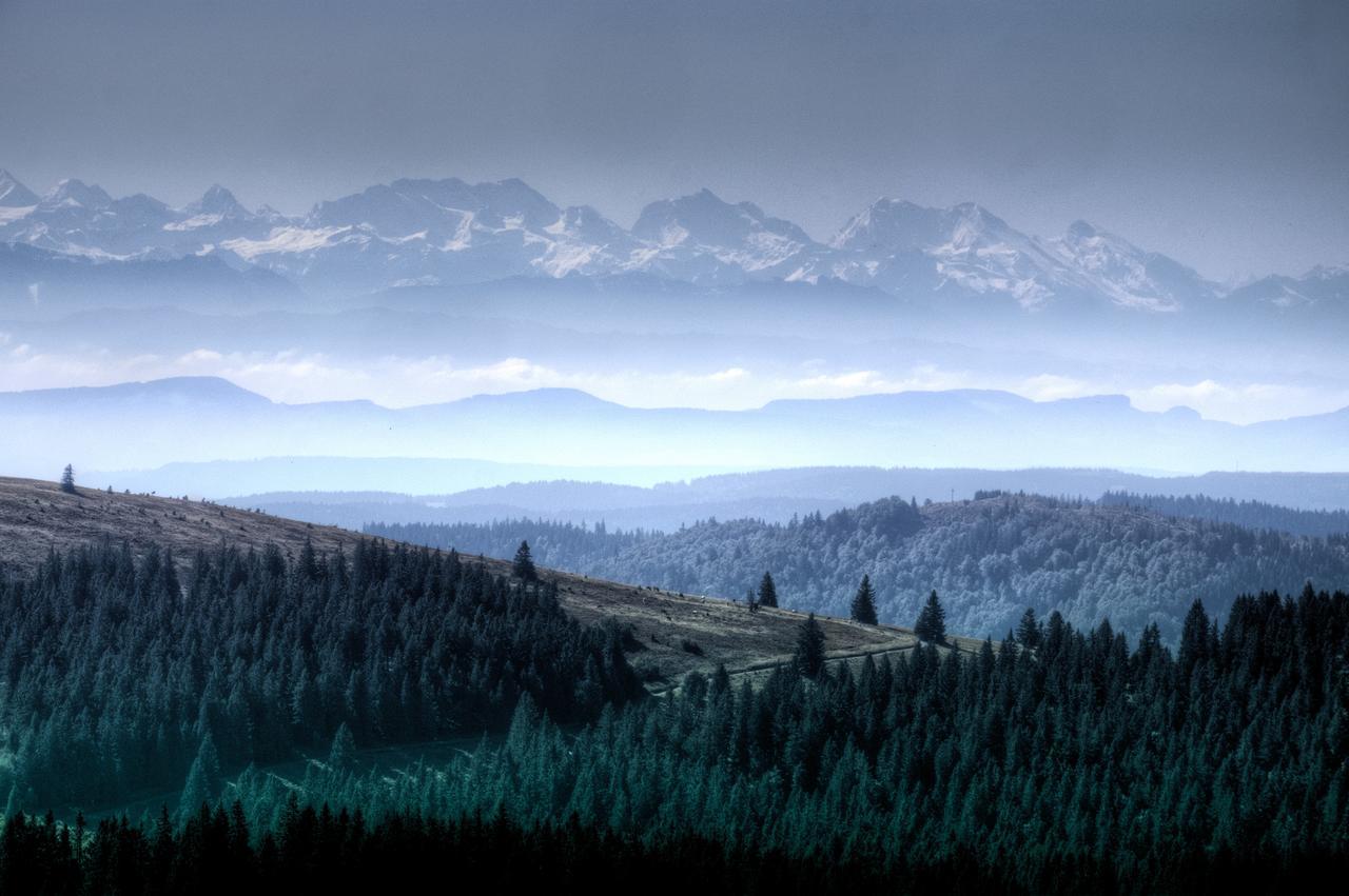 Haus Sommerberg Feldberg  Zewnętrze zdjęcie